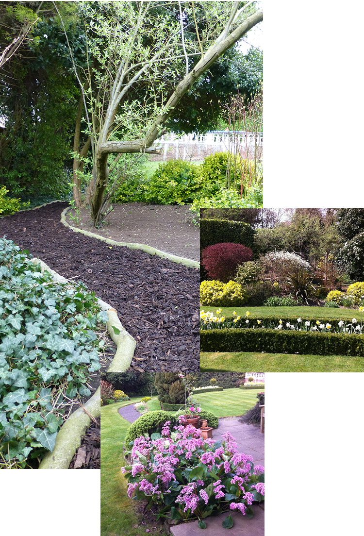 A path lined with beech poles leading to a vegetable garden