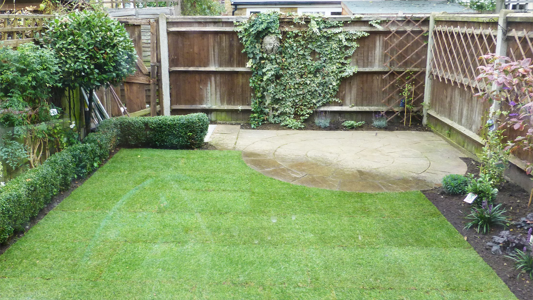 A small urban garden with fresh turf and curved patio to the rear
