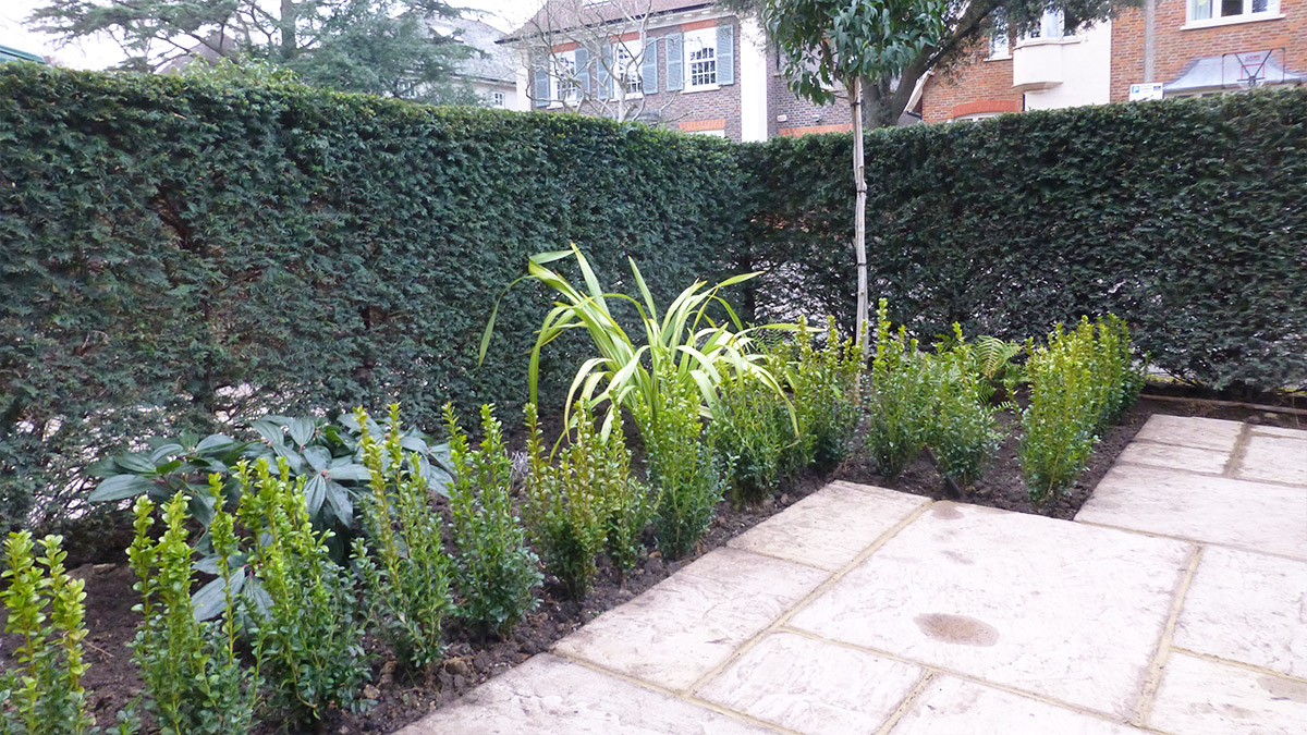 Angular flower bedding with a variety of colourful plants