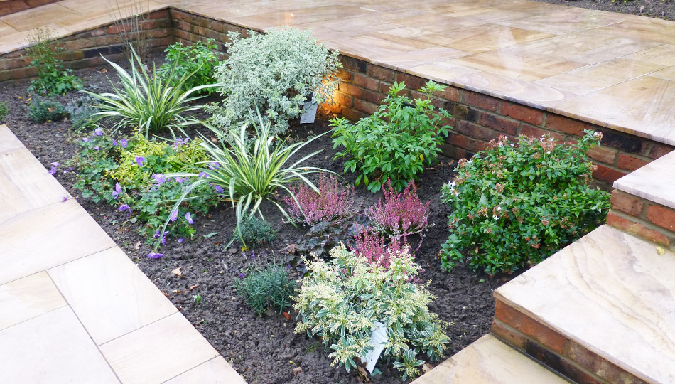 Angular flower bedding with a variety of colourful plants