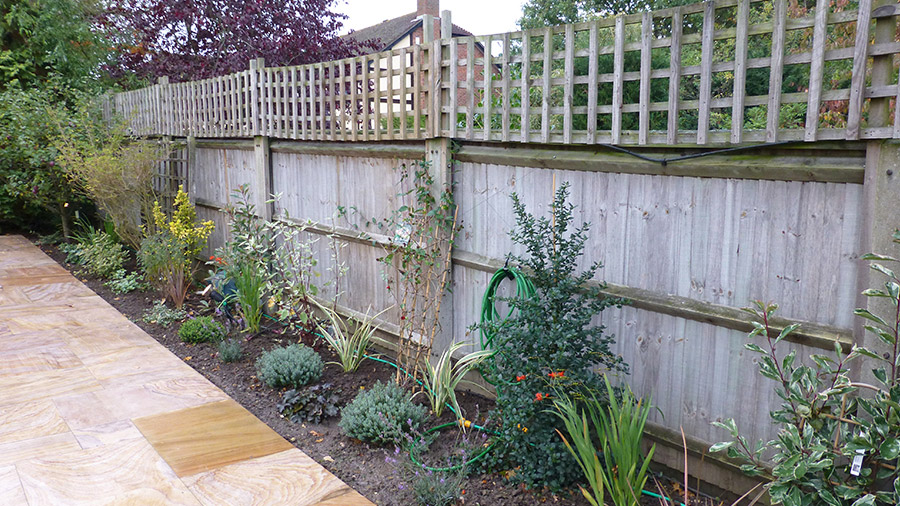 bedding and paving leading up to the right hand fence