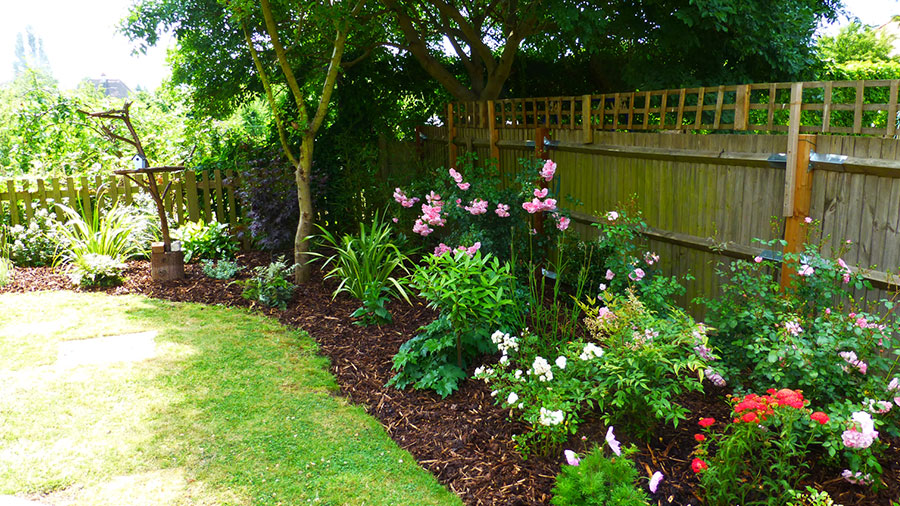 view of the side fencing and planting