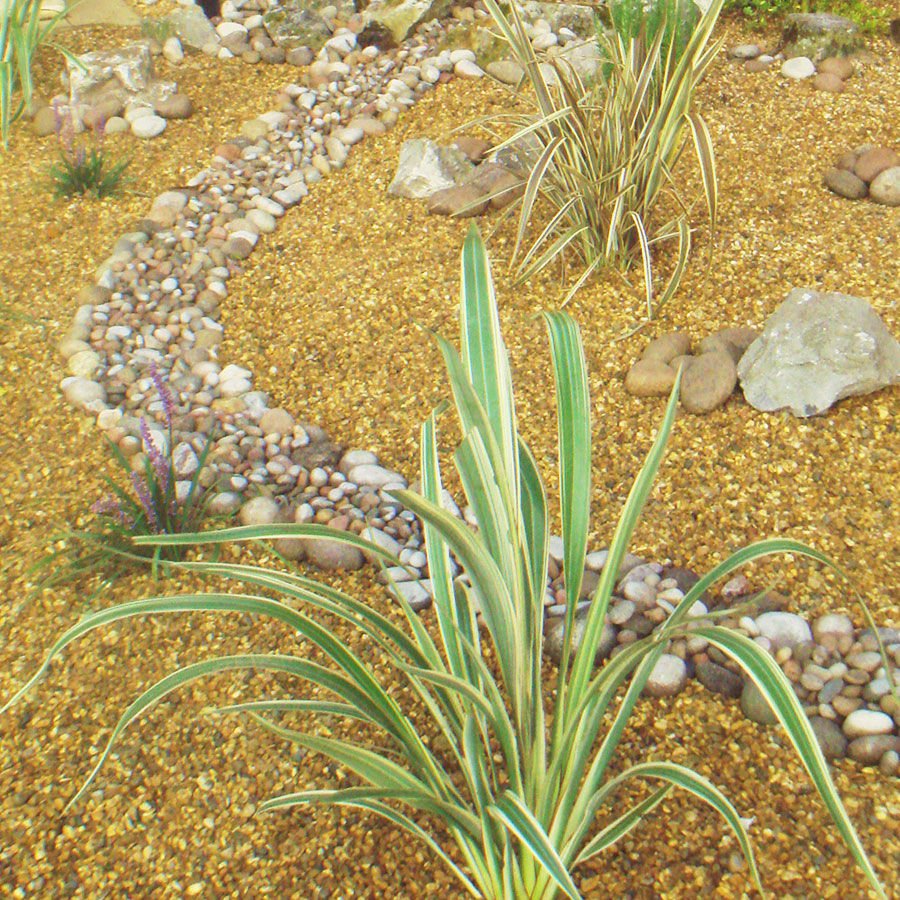 wavy gravel pathway through car park surrounded by low maintenance plants